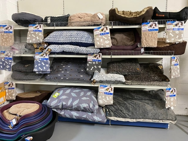 Dog beds local Weston puppy doggy pups